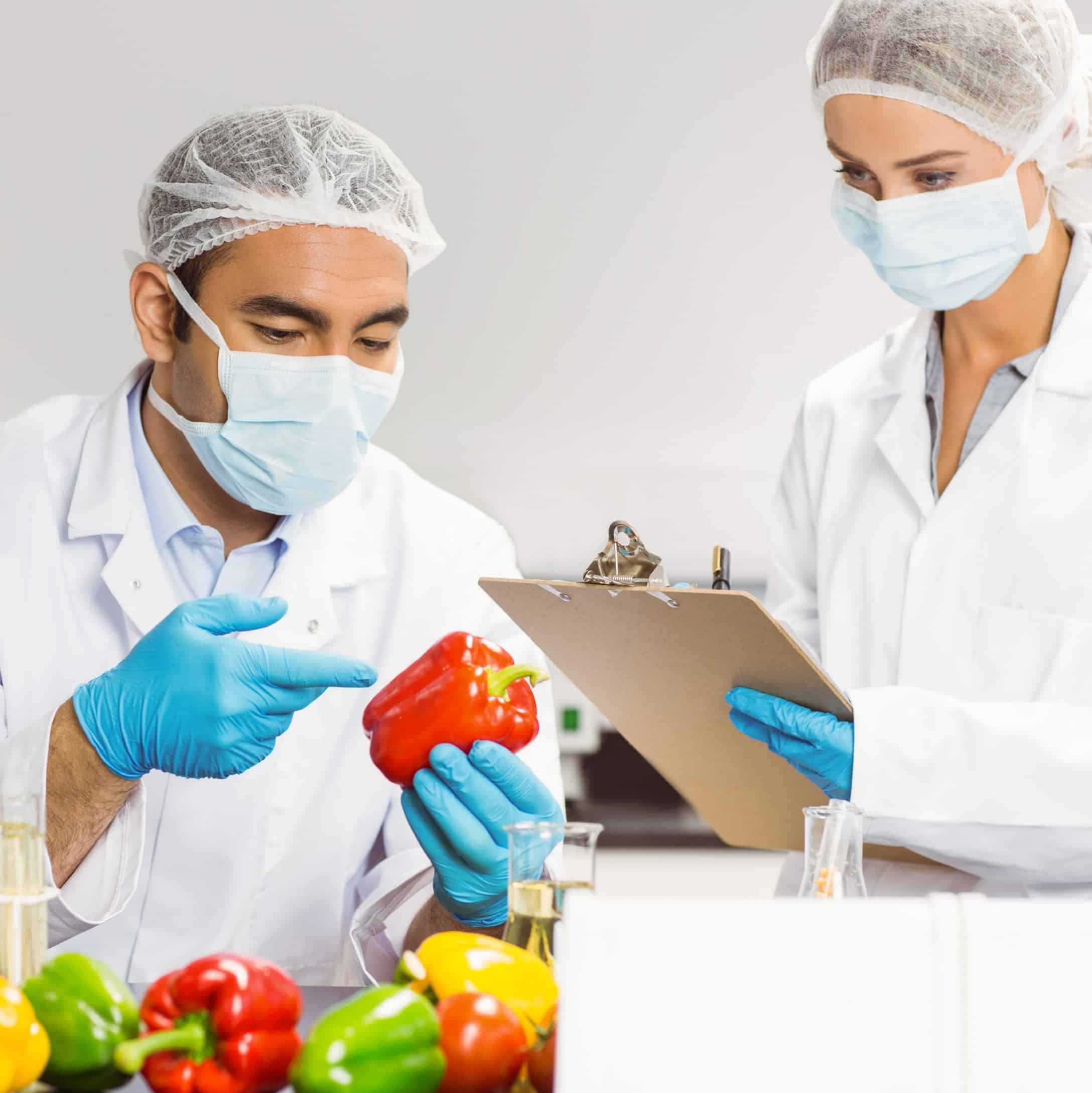 Image of people in a kitchen assessing food for Learn Q blog on Food Safety FAQs